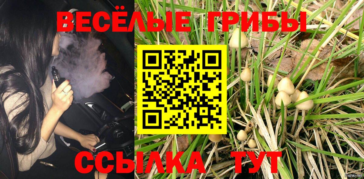 Псилоцибиновые грибы мухоморы  Вход с VPN  Галлюциногенные грибы Psilocybine cubensis  Хасавюрт 